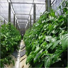 Green House Shed Net