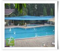 Swimming Pool Net